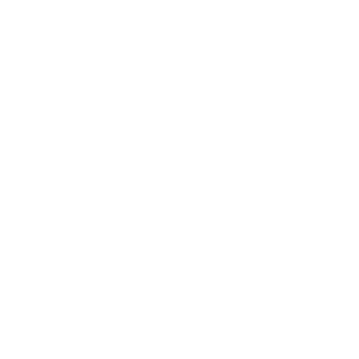 Misión